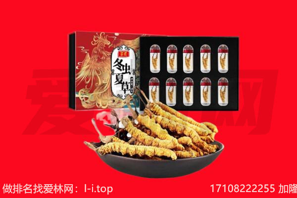 吉林市永吉回收虫草.jpg